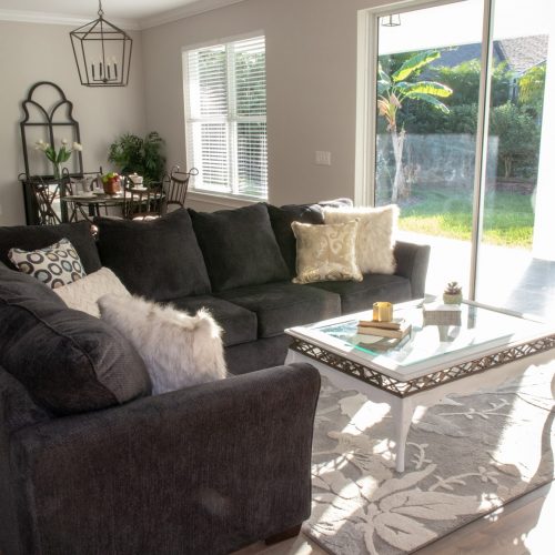 Port Orange home living room